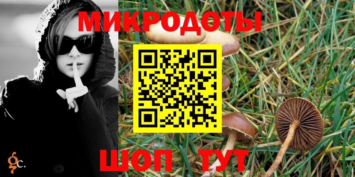 Галлюциногенные грибы Psilocybine cubensis Краснодар