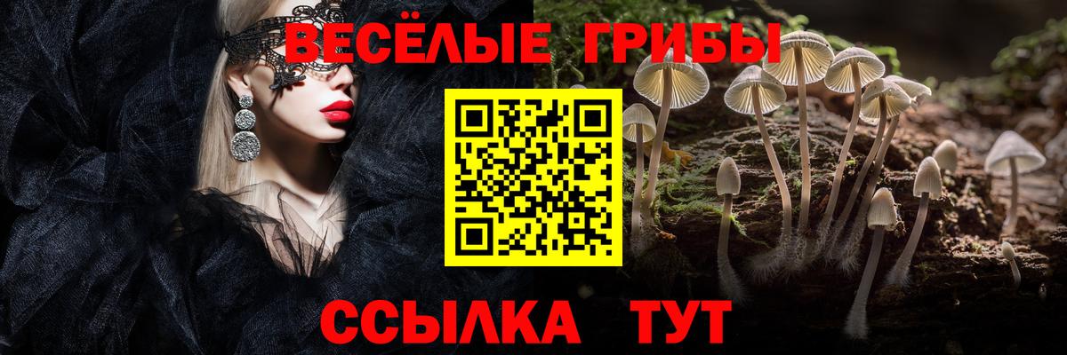 магазин  наркотиков  Галлюциногенные грибы ЛСД  Галлюциногенные грибы ЛСД  Вход с VPN  Краснодар 